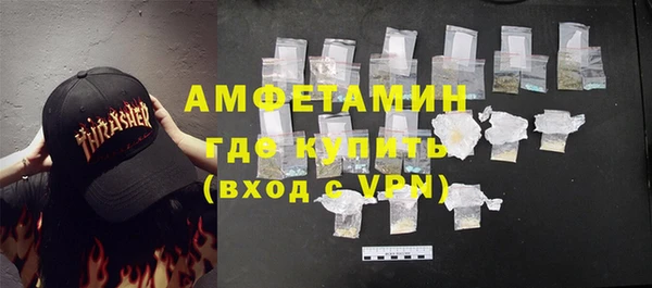 ГАЛЛЮЦИНОГЕННЫЕ ГРИБЫ Богданович