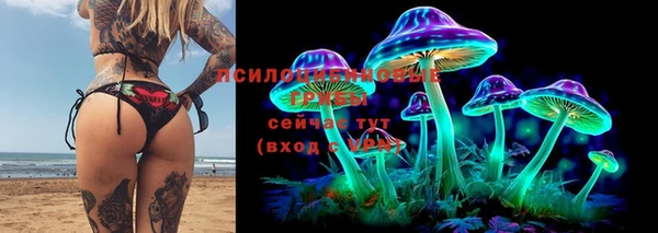 ПСИЛОЦИБИНОВЫЕ ГРИБЫ Богородицк