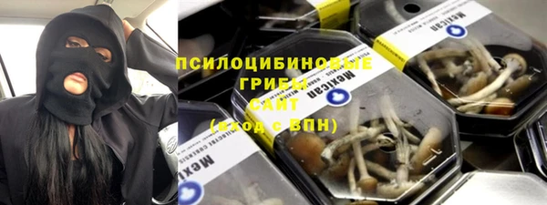 твердый Богородск