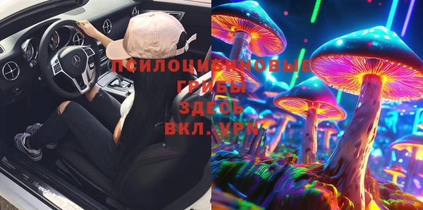ГАЛЛЮЦИНОГЕННЫЕ ГРИБЫ Богданович