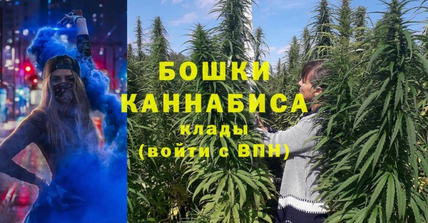 ПСИЛОЦИБИНОВЫЕ ГРИБЫ Богородицк