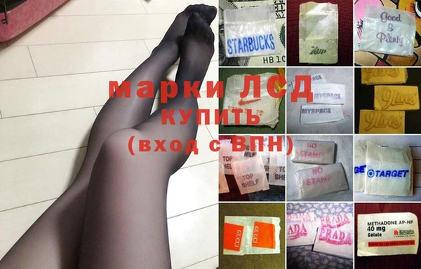 ГАЛЛЮЦИНОГЕННЫЕ ГРИБЫ Богданович