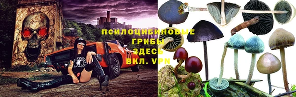 твердый Богородск