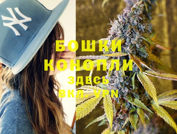 твердый Богородск