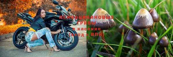 ГАЛЛЮЦИНОГЕННЫЕ ГРИБЫ Богданович