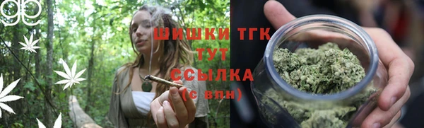 твердый Богородск