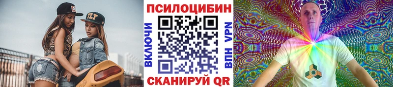 Псилоцибиновые грибы Psilocybine cubensis  наркошоп  Гороховец 